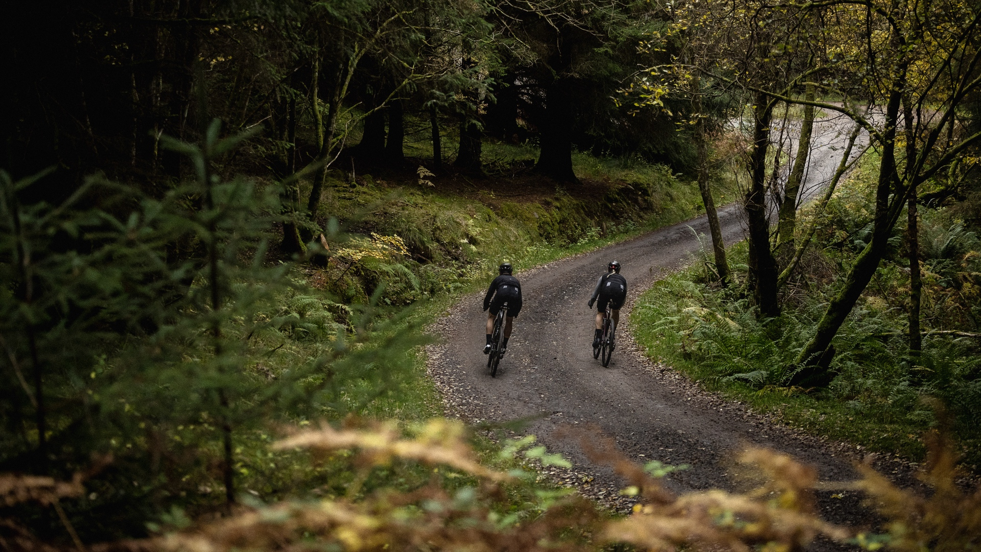 FW25 // FALL SHORTS - ASSOS Of Switzerland - Official Online Shop